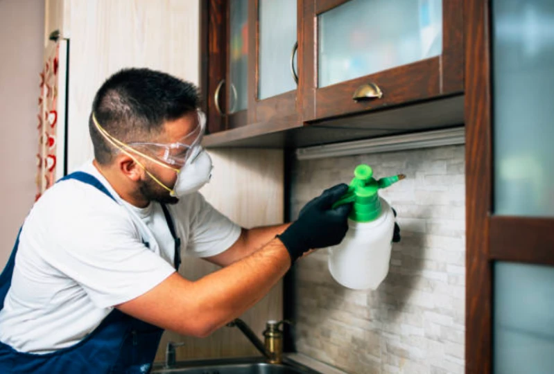 sanitização de ambientes hospitalares